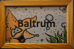1 Baltrum