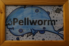 7 Pellworm